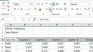 Applying Text Alignment in Excel 2013