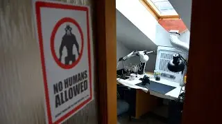 Workplace Walk Around - Camera Setup - Milestone Bonus 500 000 subscribers