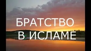 3. Хадис 34. Запрещение взаимной ненависти и вражды в исламе. Симпатия и любовь.