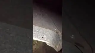 Наркоман ищет клад
