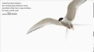 air mata untuk cinta