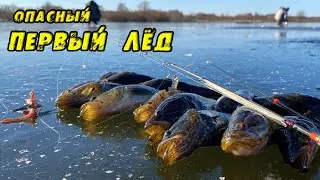 ПЕРВЫЙ ЛЁД ТРЕЩИТ, а я УЖЕ ловлю этого Демона! ОПАСНЫЙ ПЕРВОЛËДОК! Зимняя рыбалка на РОТАНА