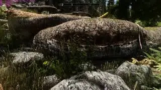 Skyrim Special Edition - Phoenix/Vivid ENB (1440p 60fps)