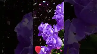 🌷💗Feliz Dia💝Suegra💝💗🌷#díadelasmadres #díadelasmadres #mothersday #viralvideo #mama #mom #viral #love