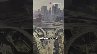 Rapido Vs Ola & Uber | Sangam Jain #rapido #ola #uber #ridesharing