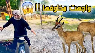 الغزلان لحقو آلاء ولكن ... شوفو شو صااار !! 😱