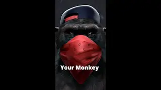 YOUR REALITY VS MY KAIJU UNIVERSE  1
