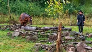 Extreme Trail