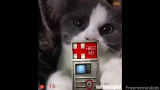 half life cat 2.0 [LONG VERSION] | Cat eating chocolate half life healing sound effect