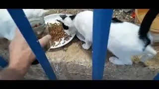 #юмор