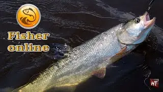 Fisher Online - Река Дон \ Закрываю на серебро! \ 8