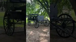 New Buckboard Wagon for Delaware Wedding and Engagement Photos #didyouknow