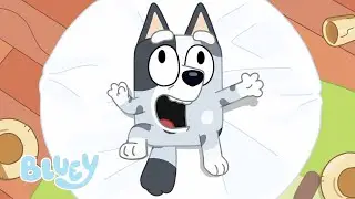 Het Logeerpartijtje | Volledige Aflevering | Bluey - Officieel Nederlands kanaal
