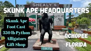 Shealy's Skunk Ape Headquarters Museum in Ochopee, Florida 2023 #skunkape #bigfoot