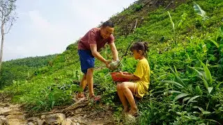 Farm Life, A Father And Daughter's Day On The Farm, Fruit Picking And Simple Meal