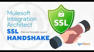 SSL HandShake Tutorial for Beginners | Mulesoft Integration Architect MCIA [Updated 2026] - igmGuru