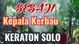 Keraton Surakarta tradisi hajad dalem PB XIII sesaji maheso kepala kerbau di alas krendowahono