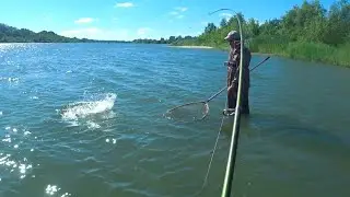 ВЕЗУЧИЙ АМУР !!! ТРИ МОНТАЖА ЕМУ НЕ ПОМЕХА !!!