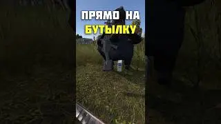 USEFUL TIPS IN DAYZ 