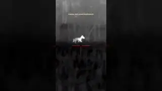 Thermal Coyote Hunt 