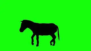 Green Screen : Donkey Walking Effect Video | Animal Donkey Effect Video