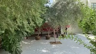 A peek to my friends house “A”