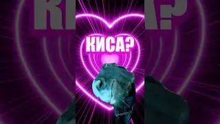 ПЕСНЯ ВЫШЛА 💖