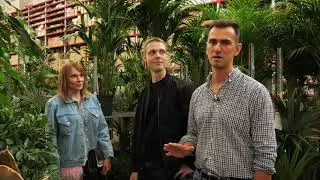 Студия озеленения Каштан