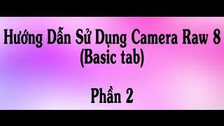 Hướng Dẫn Sử Dụng Camera Raw 8 _ Phần 2 | Basic tab