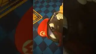 I Got From Christmas P1