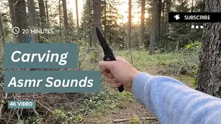 Carving (Asmr) Sounds •23 MIN