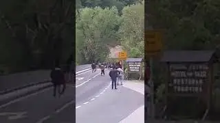Tuča migranata kod hotela Sedra u Cazinu