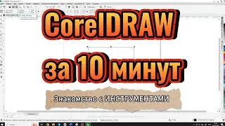 CorelDRAW для начинающих. Первый урок. ОСНОВНЫЕ ИНСТРУМЕНТЫ.