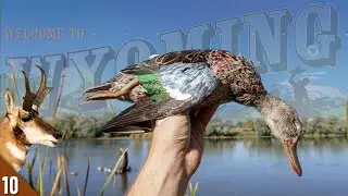 Wyoming OPENING DAY Duck Hunt | 28 Gauge Duck and Goose Hunting