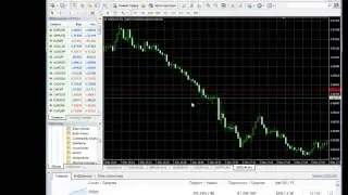 Что такое поток котировок в Metatrader 4