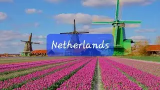 Trip to Netherlands 🇳🇱