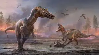 What does the Bible say about Dinosaurs?