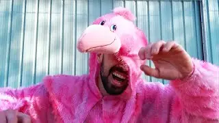 TOUKAN TOUKAN - Animal