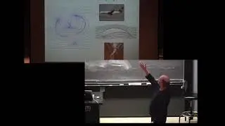 PK 6:  Curtis McMullen