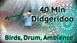Didgeridoo, Big Drum, Birds, 40 Minute Soundscape