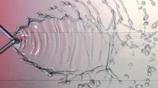 Fluid fishbone patters created from two jets with a strobe canon mark II