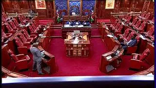 The Senate Plenary, Tuesday 6th June 2023. Afternoon Session.