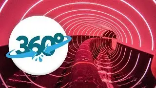 [360° VR] The New Waterslides at Welle Gütersloh in Virtual Reality!