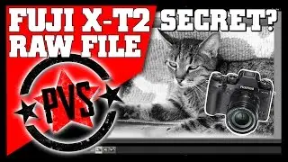 Fuji X-T2 RAW Secret?