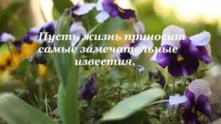 Поздравление на день рождения