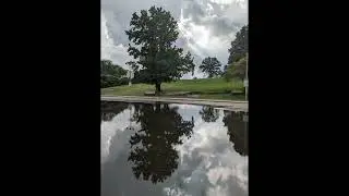 Дыхание приближающейся грозы