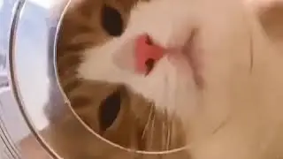 THE WEIRDEST VIDEO