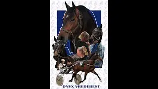 Onyx Vredebest