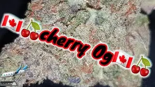 🇨🇦🍒 Cherry Og🇨🇦🍒 strain review🛬 2020 #cannabis #community #purplestrains