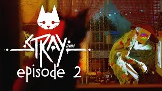 MEETING MOMO || STRAY #2